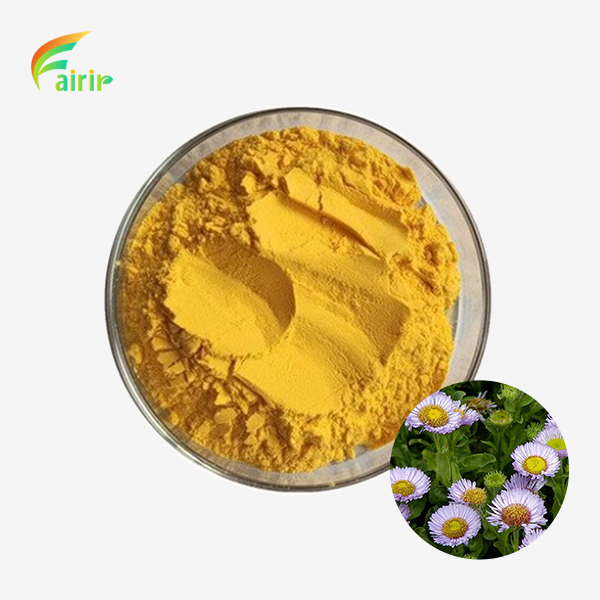Erigeron Breviscapus Extract